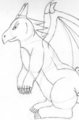 dragon sketch by squirrelette