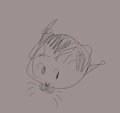 Boop that snoot ! by Hinako20