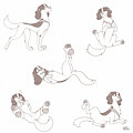 Ponne is Prideful [C]