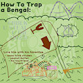 How to Trap a Bengal