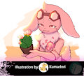 Cacti