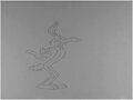 Animation test - Willy Coyote by darkbunny666