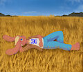 Golden Fields by jamesfoxbr