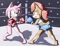 Amy and Sally boxing :comm: by BlueChika