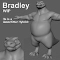 Bradley WIP