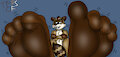 RJs Raccoon Toesies by TheRedSkunk