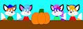 Foxes and the Giant Pumpkin