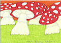 Toadstool Hill