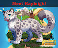 Meet Kayleigh the Snow Leopard!