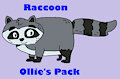 Ollie's Pack Animal Collection: Raccoon