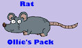 Ollie's Pack Animal Collection: Rat