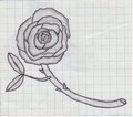 Rose-2 by AZViolet