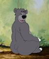 Baloo