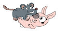 Playful Rat and Rabbit by ToonDisneyXD2009