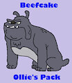 Ollie's Pack Animal Collection: Beefcake