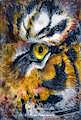 Tiger's Eye by danjiisthmus