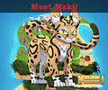 Meet Maki, the final main feline!