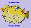 Ollie's Pack Animal Collection: Pufferfish