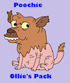 Ollie's Pack Animal Collection: Poochie by ToonDisneyXD2009