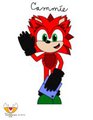Cammie - My Sonic Persona
