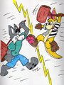 Flash VS. Dingoroo - Colored
