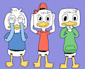 Three Wise Ducks