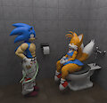 Sonic and Tails in the shitters! by Dragon696