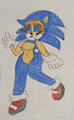 Older Cream as Sonic