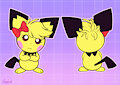 Pichu Koops - reference