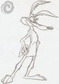 Wile E. Coyote, Super Genius 