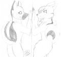 The Mirror...  by kuroookamitsume