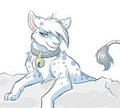 You want dis~
