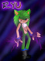 Ryu the Hedgehog 2013 Profile
