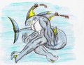 Human Remora