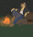 Campfire - commission
