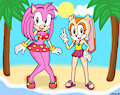 Amy And Cream on the beach by Simplyash