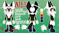 Atem Ref Sheet by TabbyKazuki