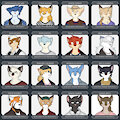 The 20th annual Battle Royal - Entrants