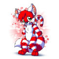 What Candy Canes?