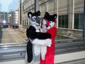 Anthrocon 2010-3 by discorat