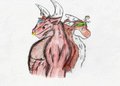 Human and the Beasts