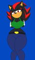 SuperSonicRulaa Collection 2