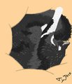 Tinks my cat by TyJackification