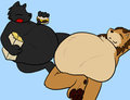 Pair of Pigs