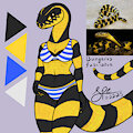 9. Banded Krait by Spe
