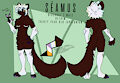 Séamus Reference Sheet (2025) by RaspberryWah
