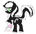 Zenawa SkunkPony by ZenawaSkunkPony