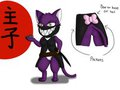 Sushi the Ninja Kitty