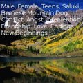 Seven Peaks Chapter 6 by Cormenthor