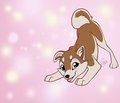Shiba Play
